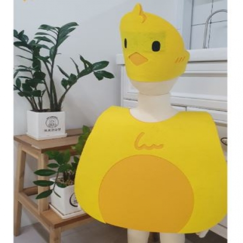병아리 조끼