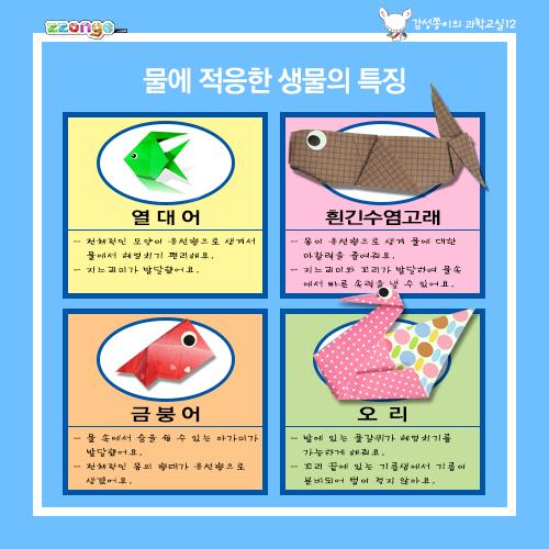 [steam & smart] 감성쫑이의 스토리텔링 과학교실 12(환경과 생물)(10묶음)