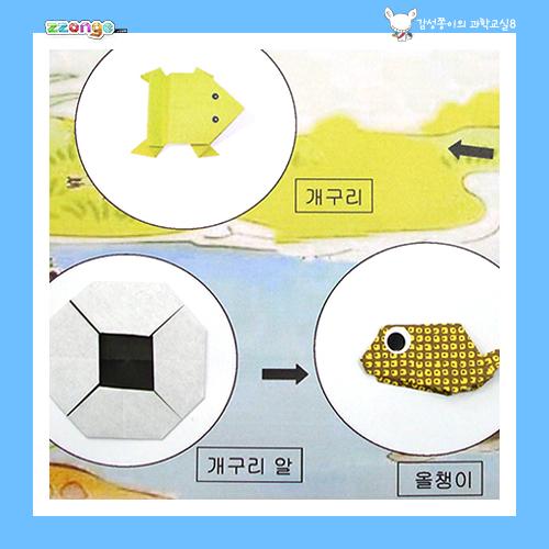 [steam & smart] 감성쫑이의 스토리텔링 과학교실 8(자라면서 달라져요)(10묶음)