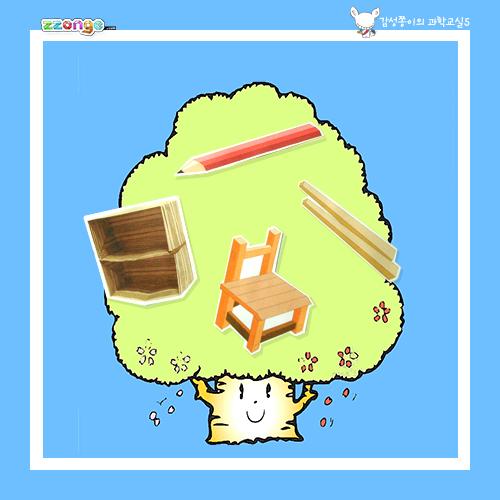 [steam & smart] 감성쫑이의 스토리텔링 과학교실 5(나무를 심어요)(10묶음)